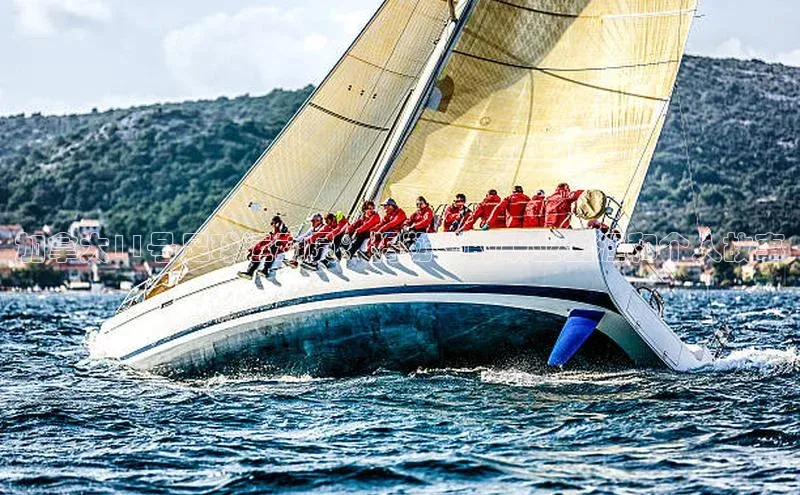 伟德bevictor中文版字节跳动加拿大11号足球运动员：揭秘他的职业生涯和个人故事