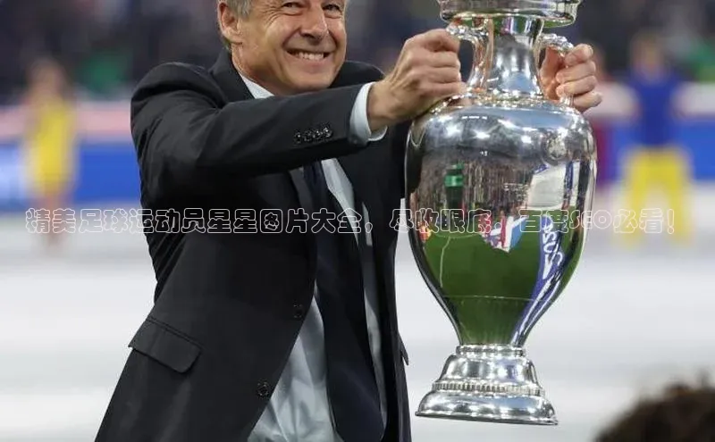 伟德bevictor中文版字节跳动精美足球运动员星星图片大全，尽收眼底，百度SEO必看！