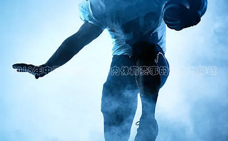 2018年中国运动会：国内体育赛事的活力与挑战