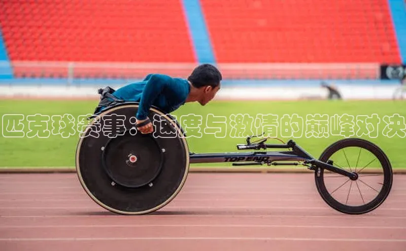 匹克球赛事：速度与激情的巅峰对决