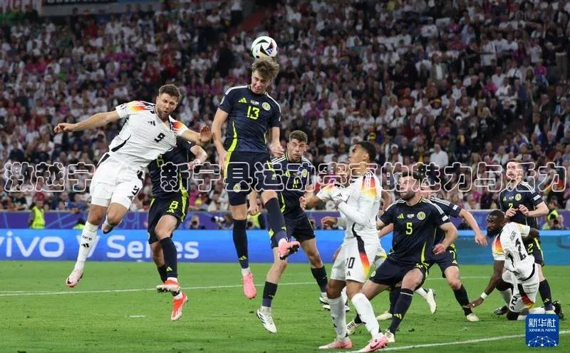 激越宁江：新宁县运动赛事的魅力与活力