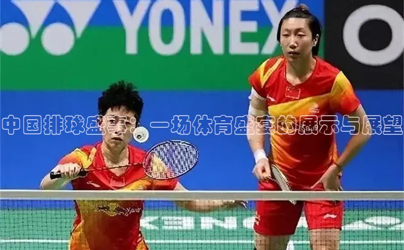中国排球盛事：一场体育盛宴的展示与展望