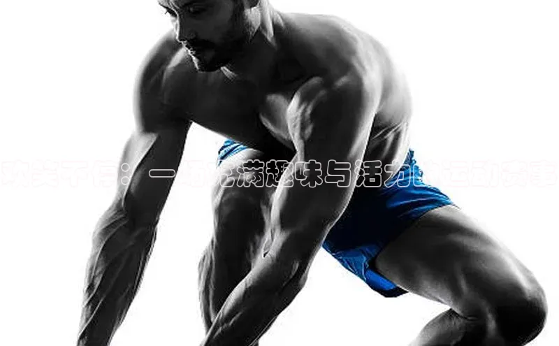 欢笑不停：一场充满趣味与活力的运动赛事