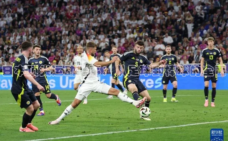 日本顶尖运动盛事：从足球到棒球的全面