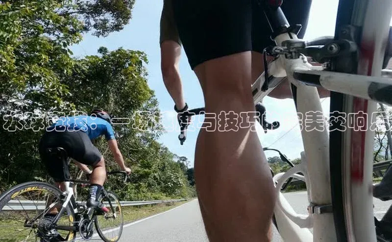 水球竞技：一场速度与技巧的完美交响乐