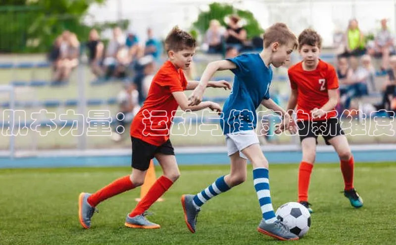 肌本力量：运动与健康的新维度