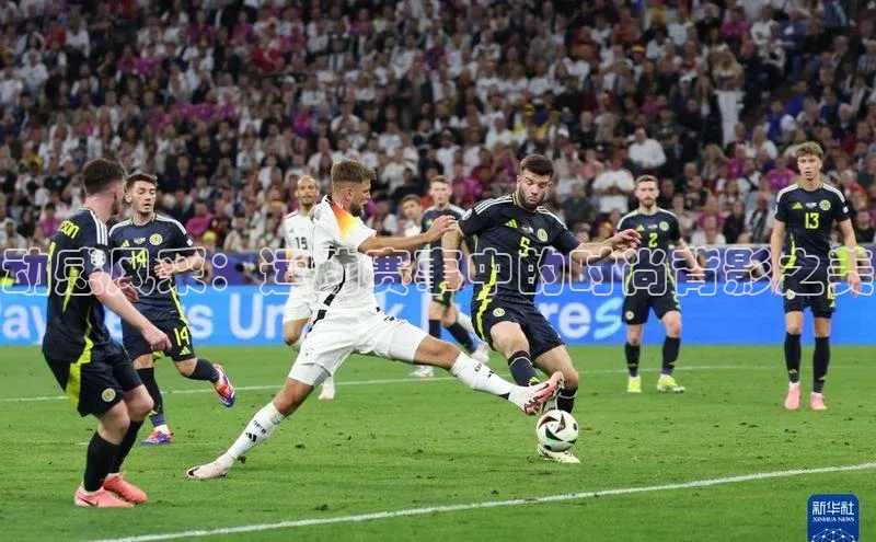 伟德betvictor网页版